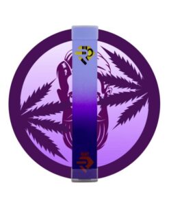 https://rubydisposablecart.com/product/ruby-disposables-grandaddy-purp